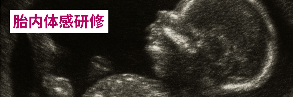 胎内体感研修